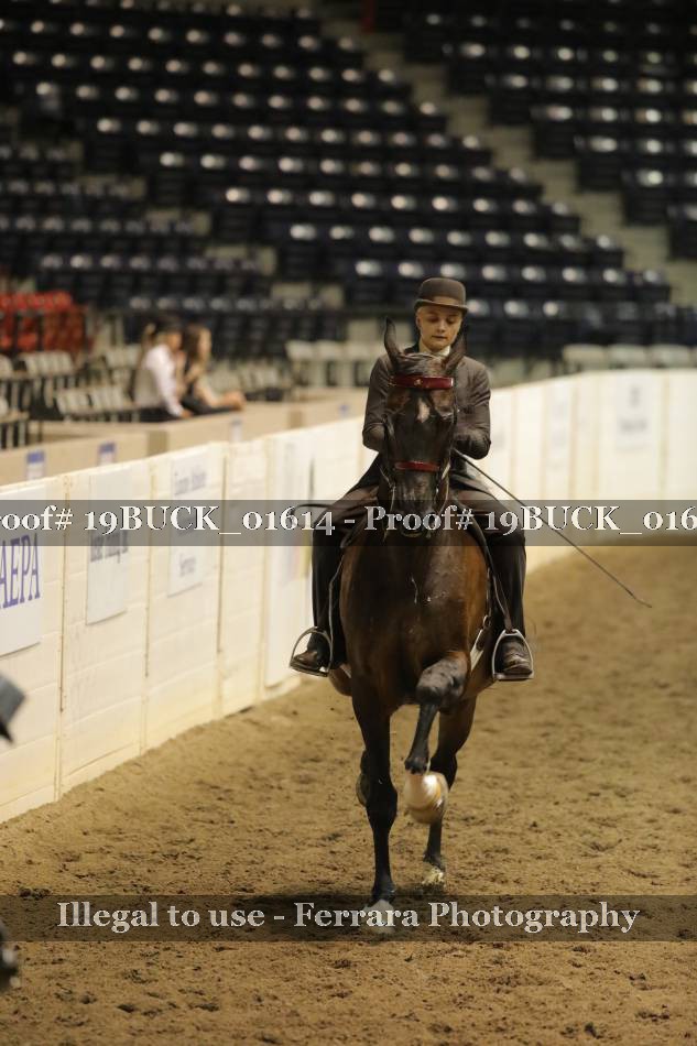 Proof 19BUCK_01614