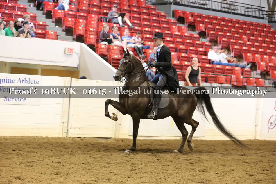 Proof 19BUCK_01615