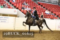 19BUCK_01615 proof