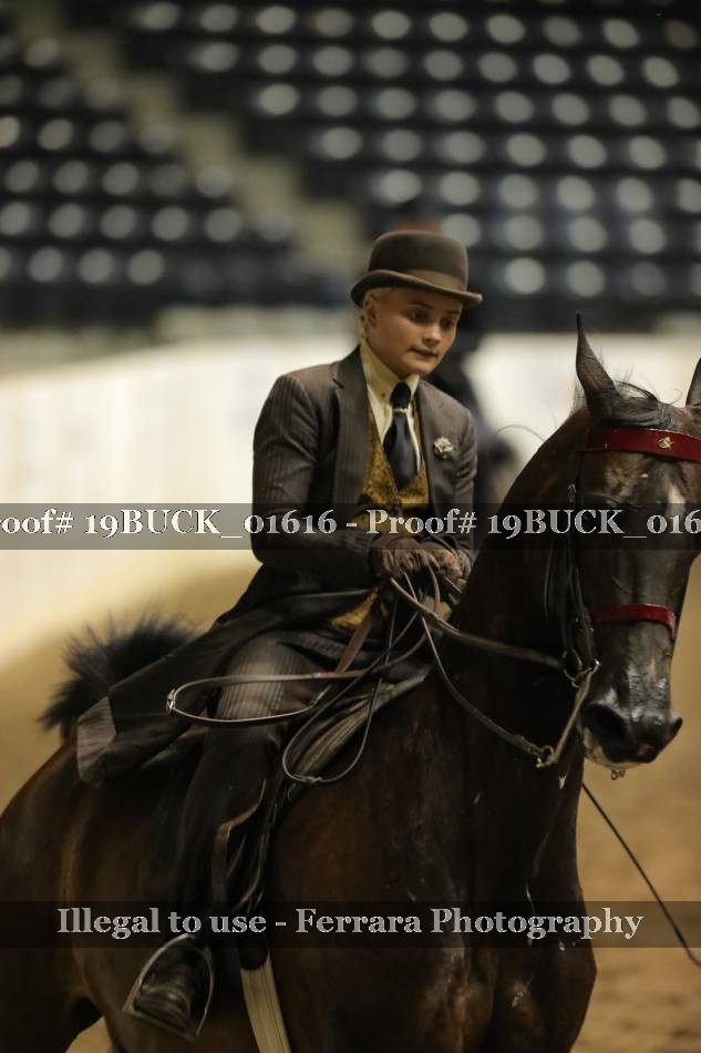 Proof 19BUCK_01616