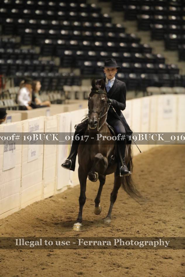 Proof 19BUCK_01617