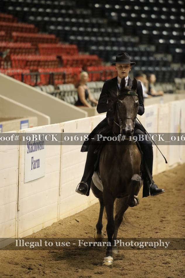 Proof 19BUCK_01618
