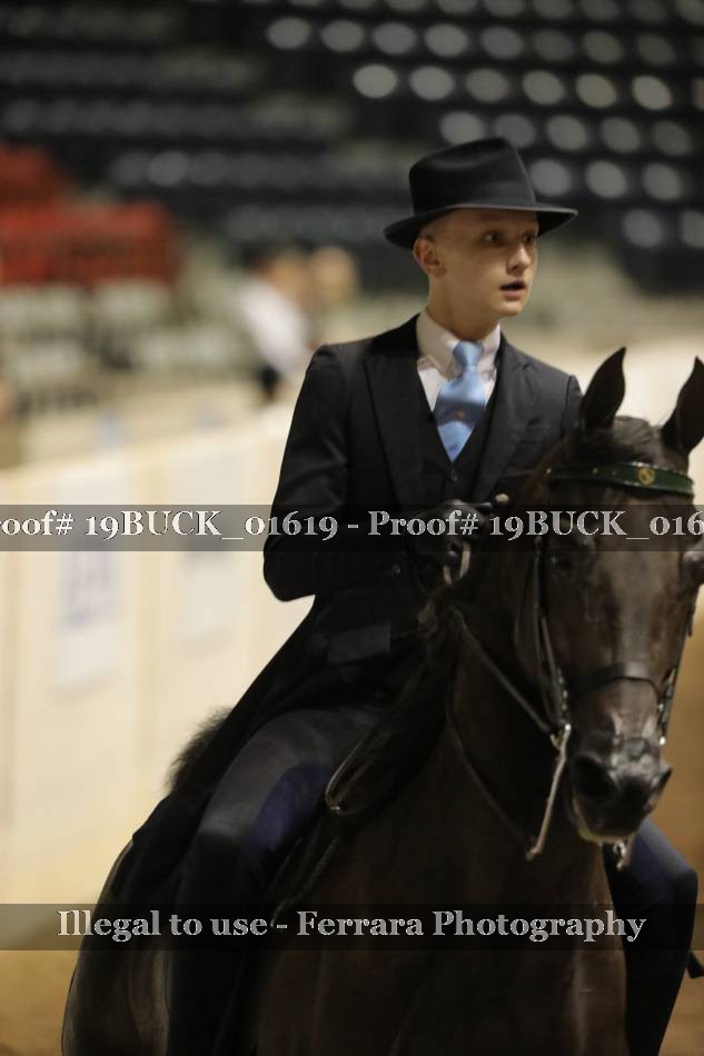 Proof 19BUCK_01619