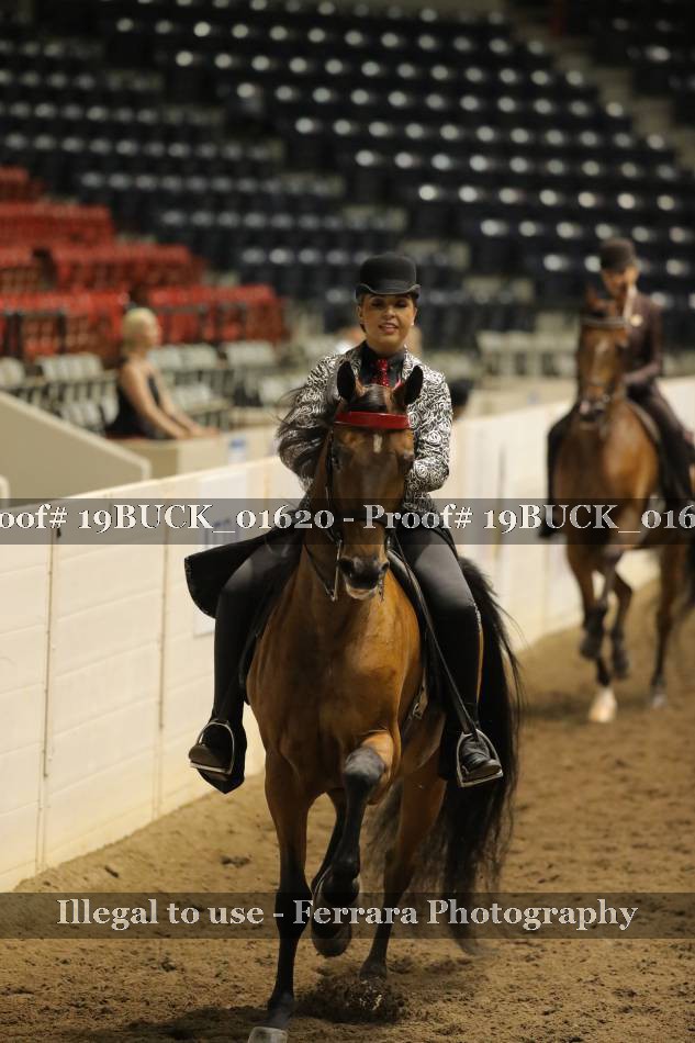 Proof 19BUCK_01620