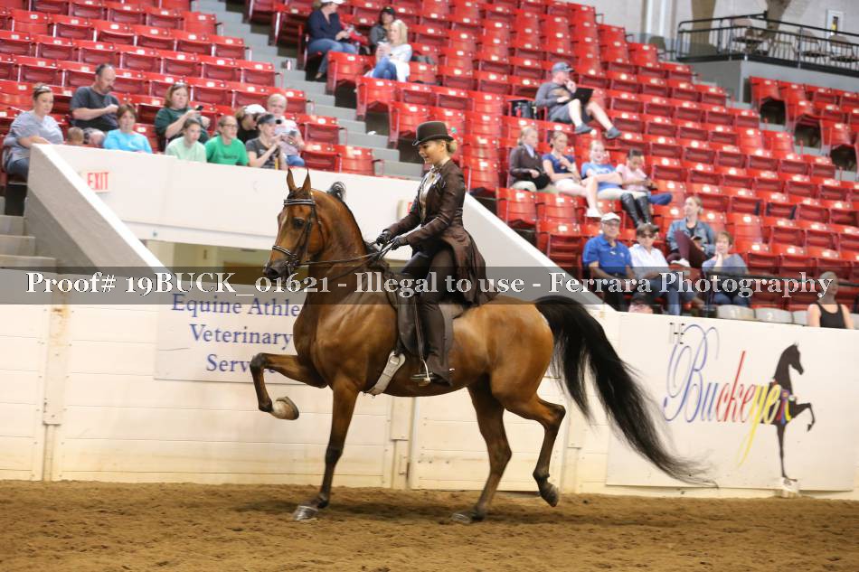 Proof 19BUCK_01621