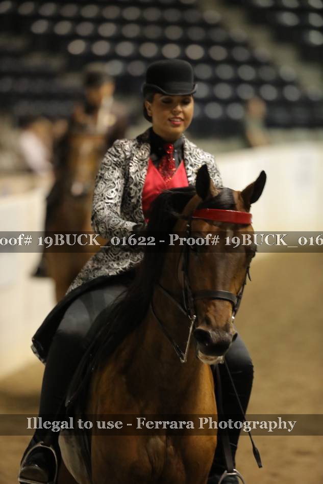 Proof 19BUCK_01622