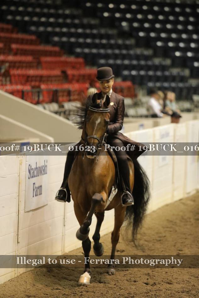 Proof 19BUCK_01623
