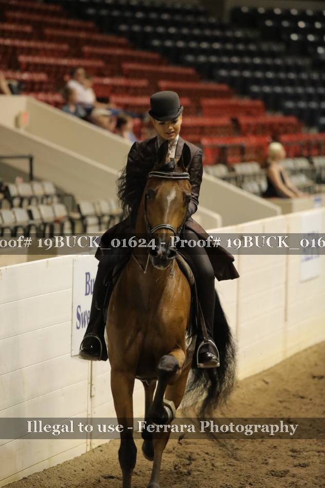 Proof 19BUCK_01624