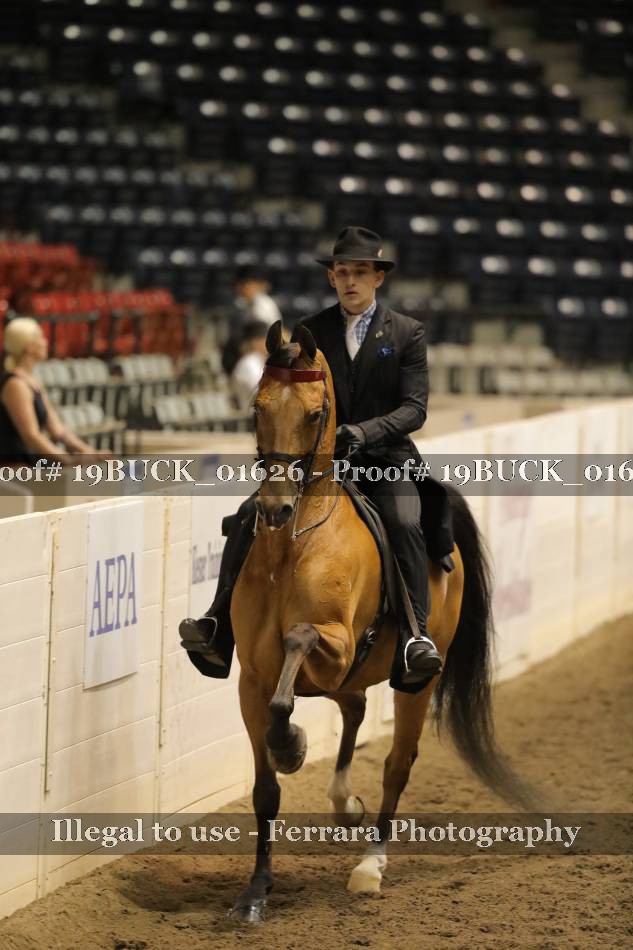 Proof 19BUCK_01626