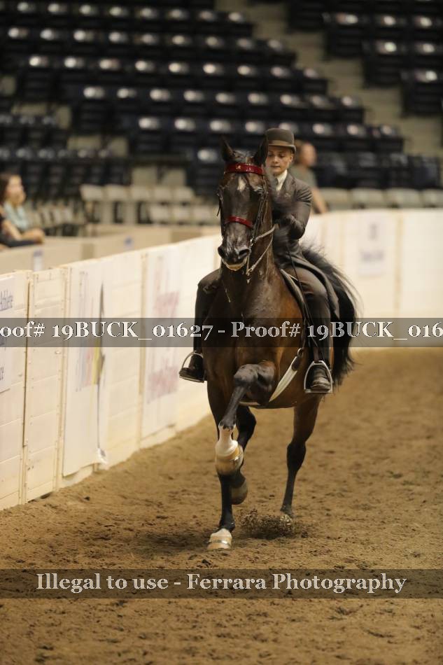 Proof 19BUCK_01627