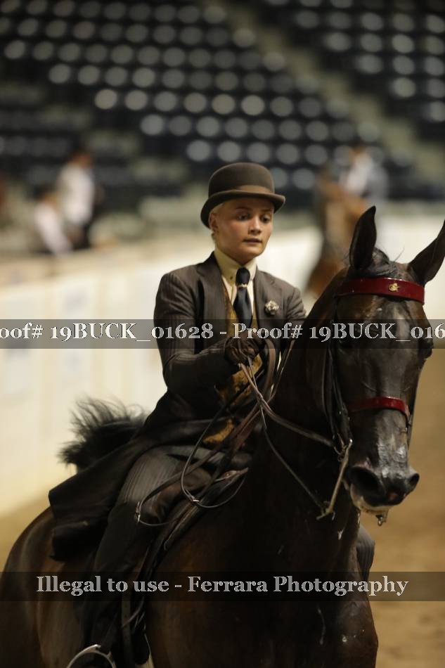 Proof 19BUCK_01628