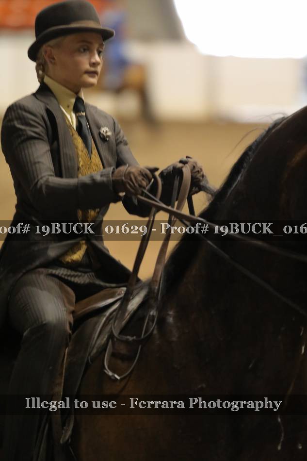 Proof 19BUCK_01629