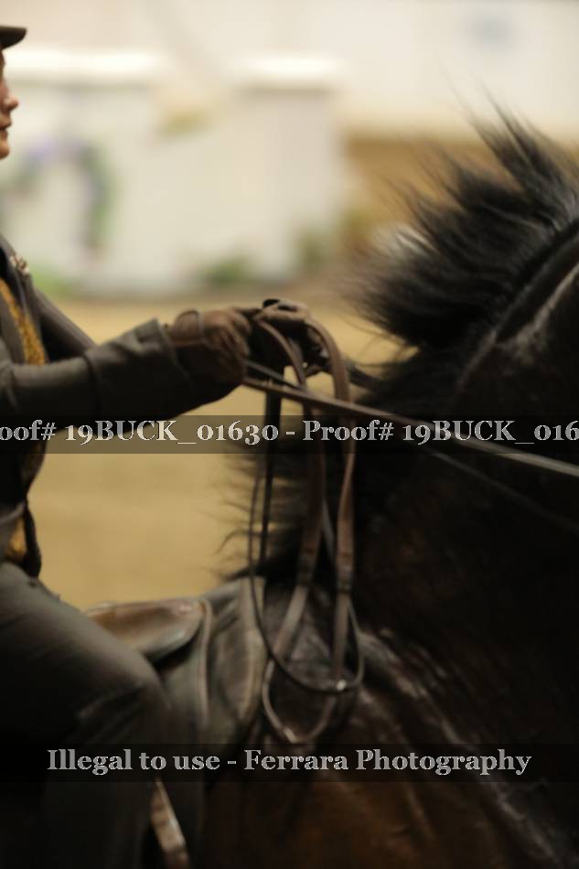 Proof 19BUCK_01630
