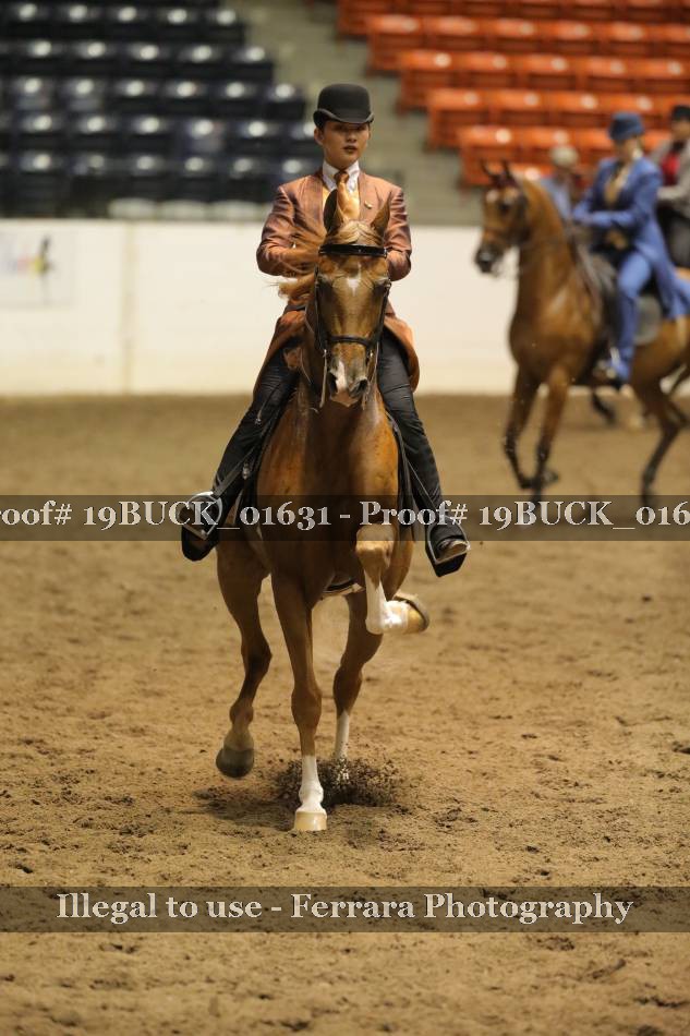 Proof 19BUCK_01631