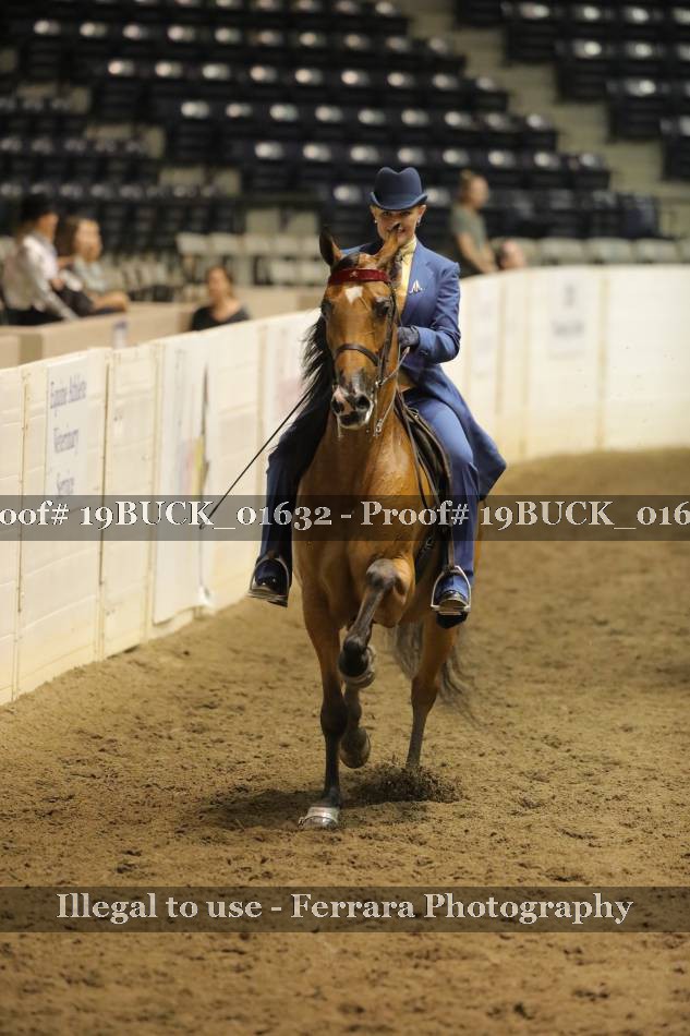 Proof 19BUCK_01632