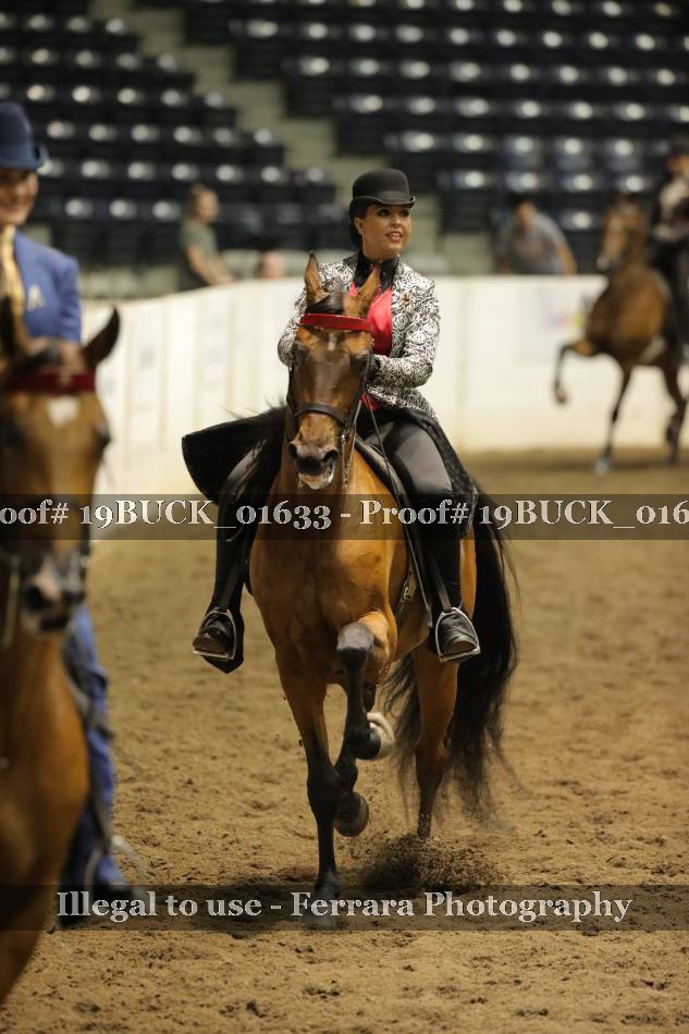 Proof 19BUCK_01633