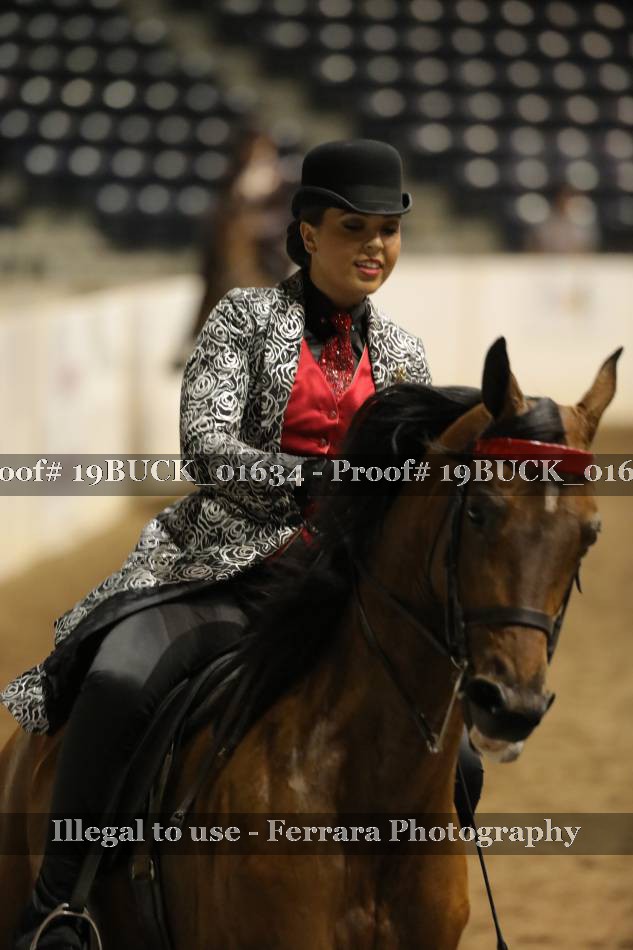 Proof 19BUCK_01634