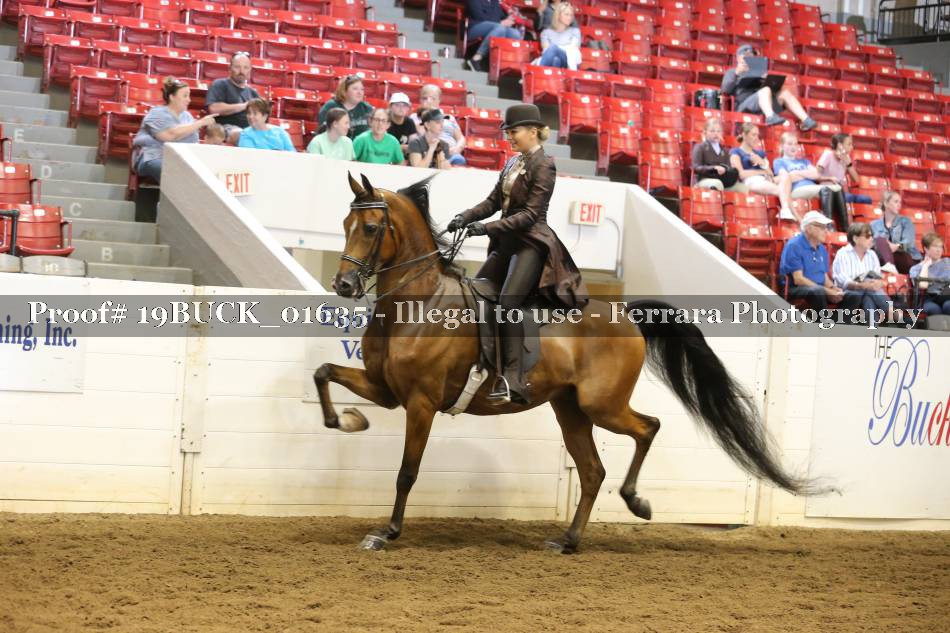 Proof 19BUCK_01635