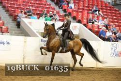 19BUCK_01635 proof