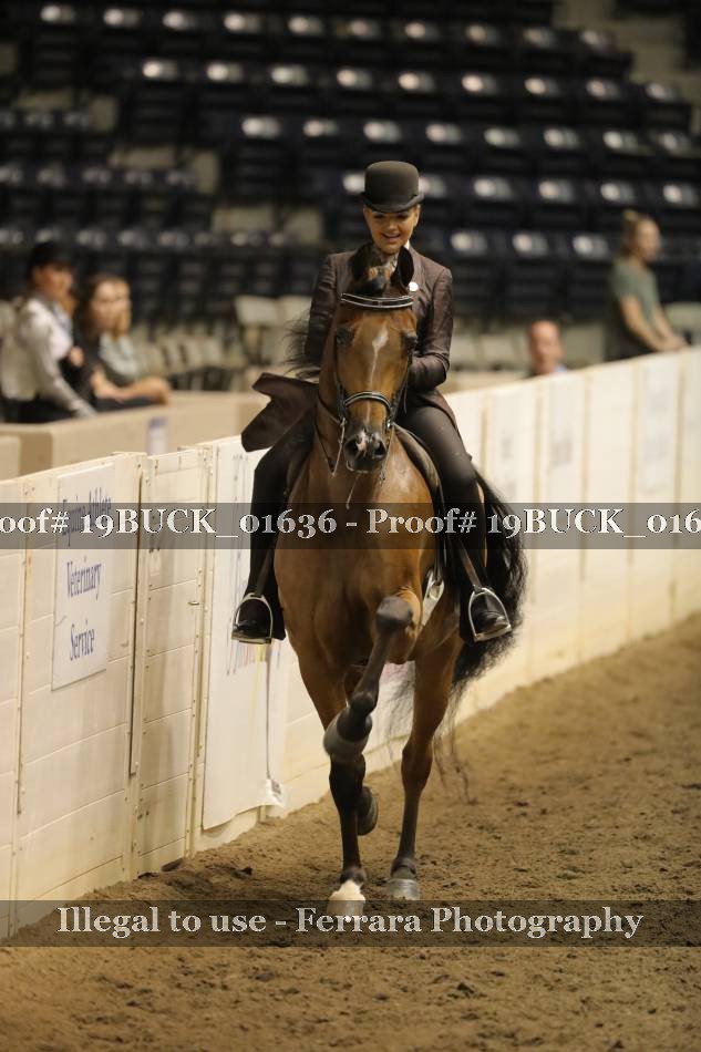 Proof 19BUCK_01636