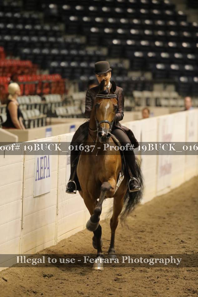 Proof 19BUCK_01637