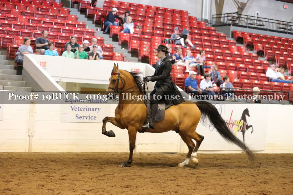 Proof 19BUCK_01638