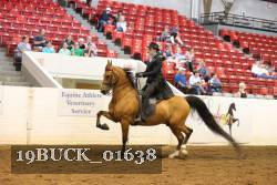19BUCK_01638 proof