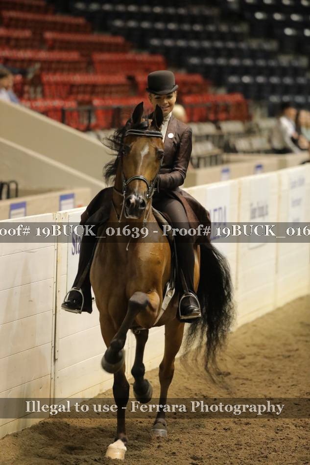 Proof 19BUCK_01639