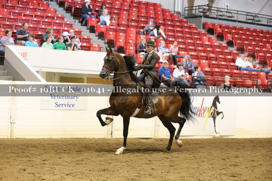 Proof 19BUCK_01641