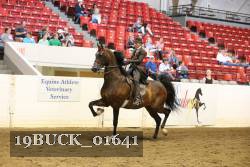 19BUCK_01641 proof
