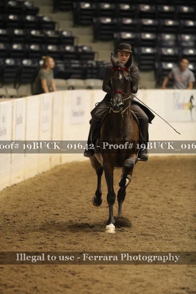 Proof 19BUCK_01642