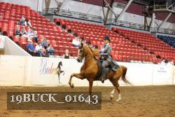 19BUCK_01643 proof