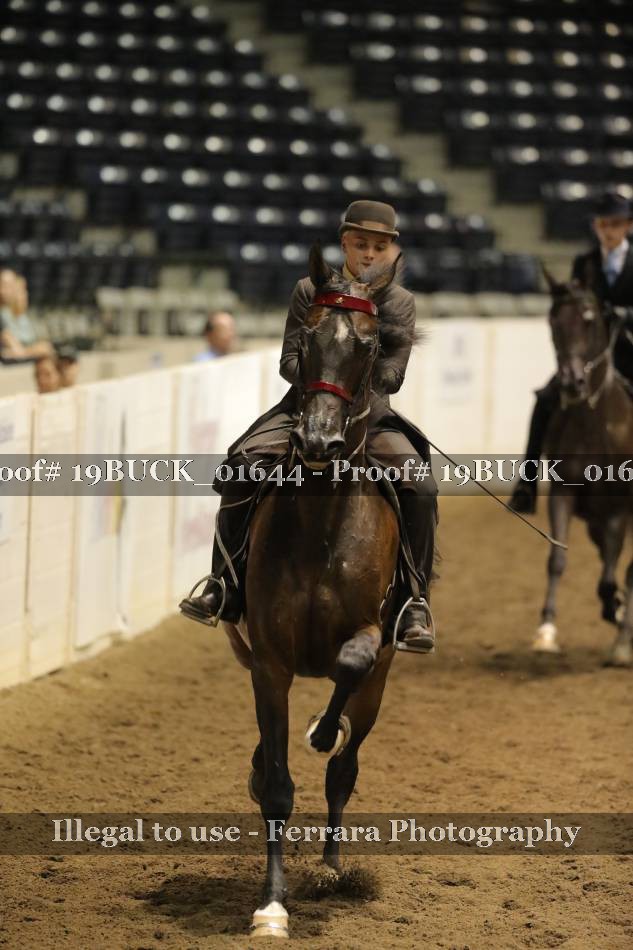 Proof 19BUCK_01644