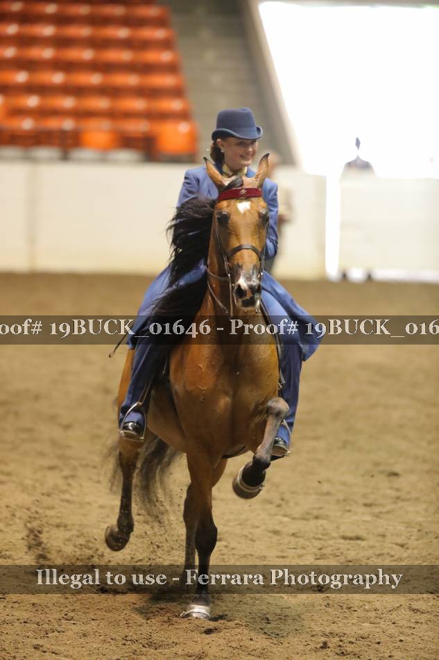 Proof 19BUCK_01646