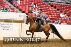 19BUCK_01647 proof