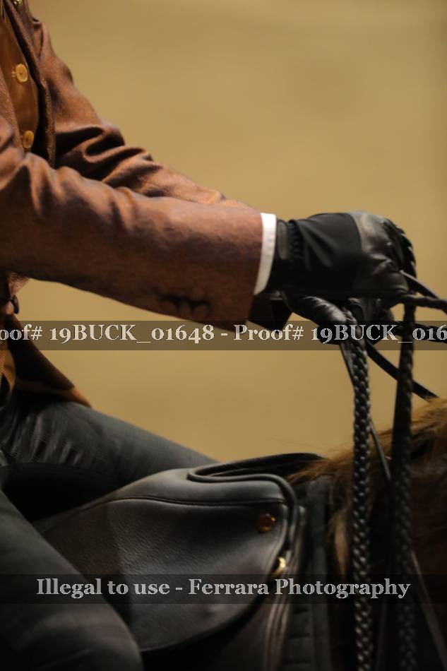 Proof 19BUCK_01648
