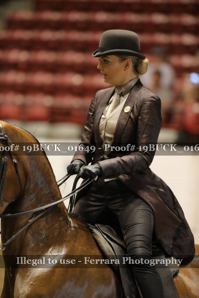 Proof 19BUCK_01649