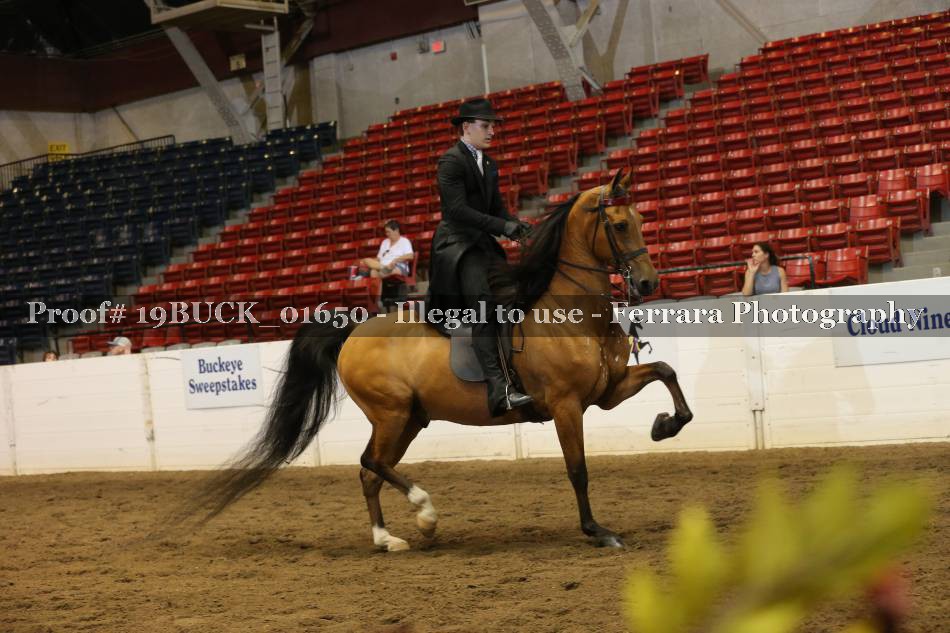 Proof 19BUCK_01650