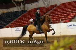 19BUCK_01650 proof