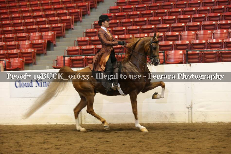 Proof 19BUCK_01655