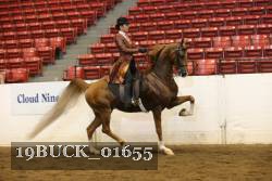 19BUCK_01655 proof