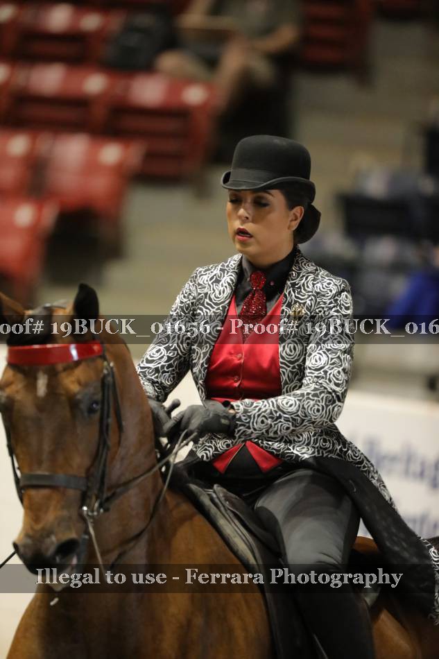 Proof 19BUCK_01656