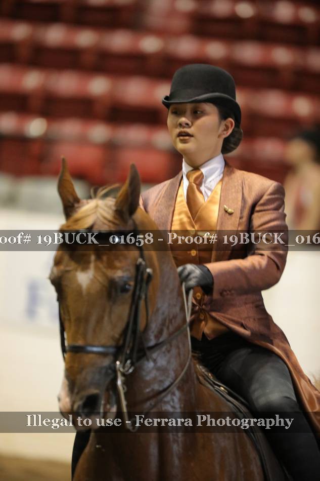 Proof 19BUCK_01658