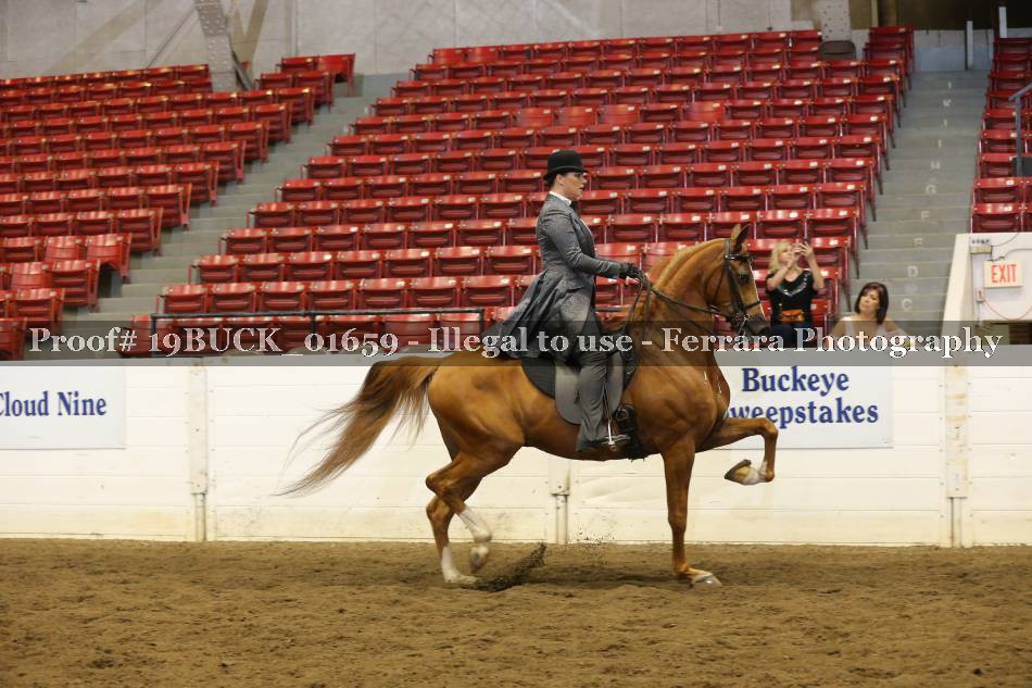 Proof 19BUCK_01659