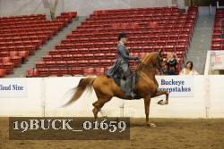 19BUCK_01659 proof