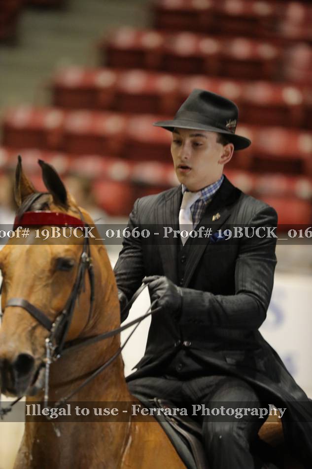 Proof 19BUCK_01660
