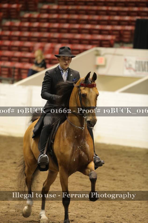 Proof 19BUCK_01662