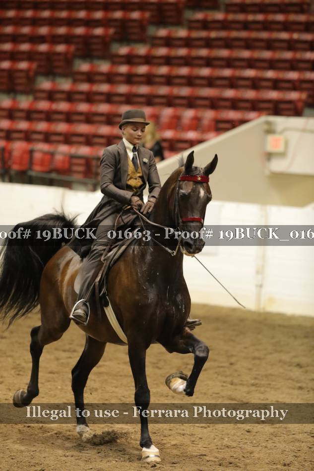 Proof 19BUCK_01663