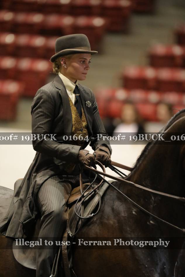Proof 19BUCK_01664