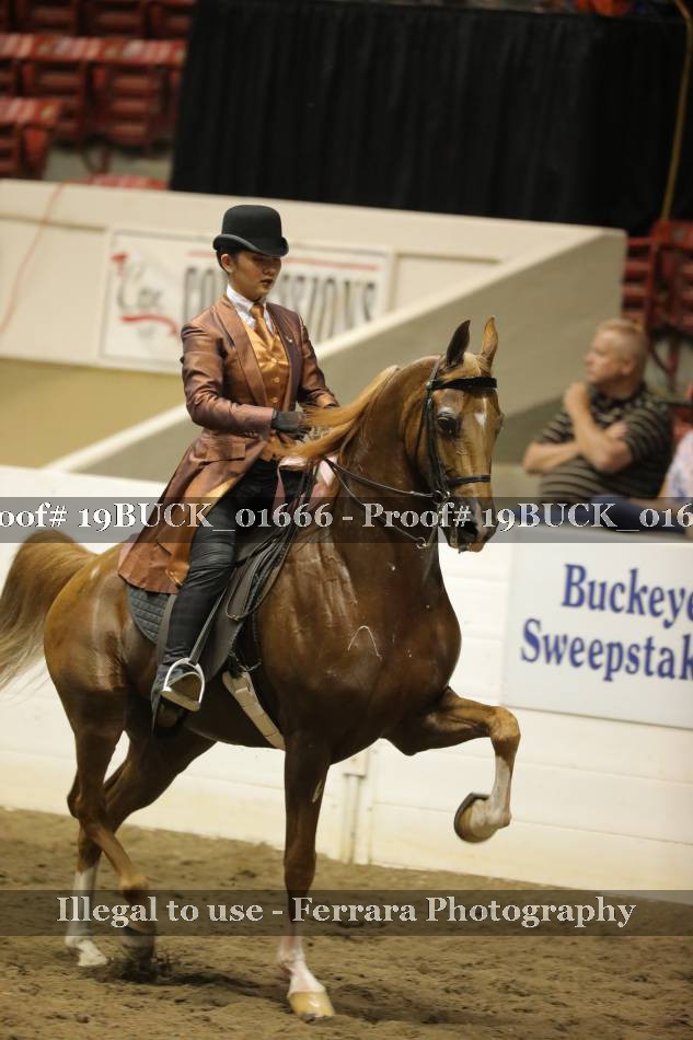 Proof 19BUCK_01666